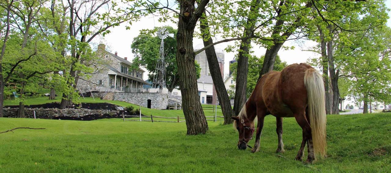 Rocky Acre Farm Bed & Breakfast Mount Joy Extérieur photo